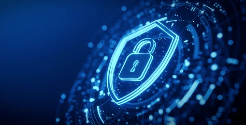 Screen Shot 2024-09-27 at 1.52.12 PM-1